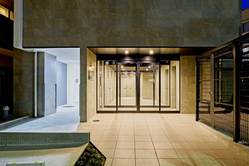 ディアレイシャス金山II